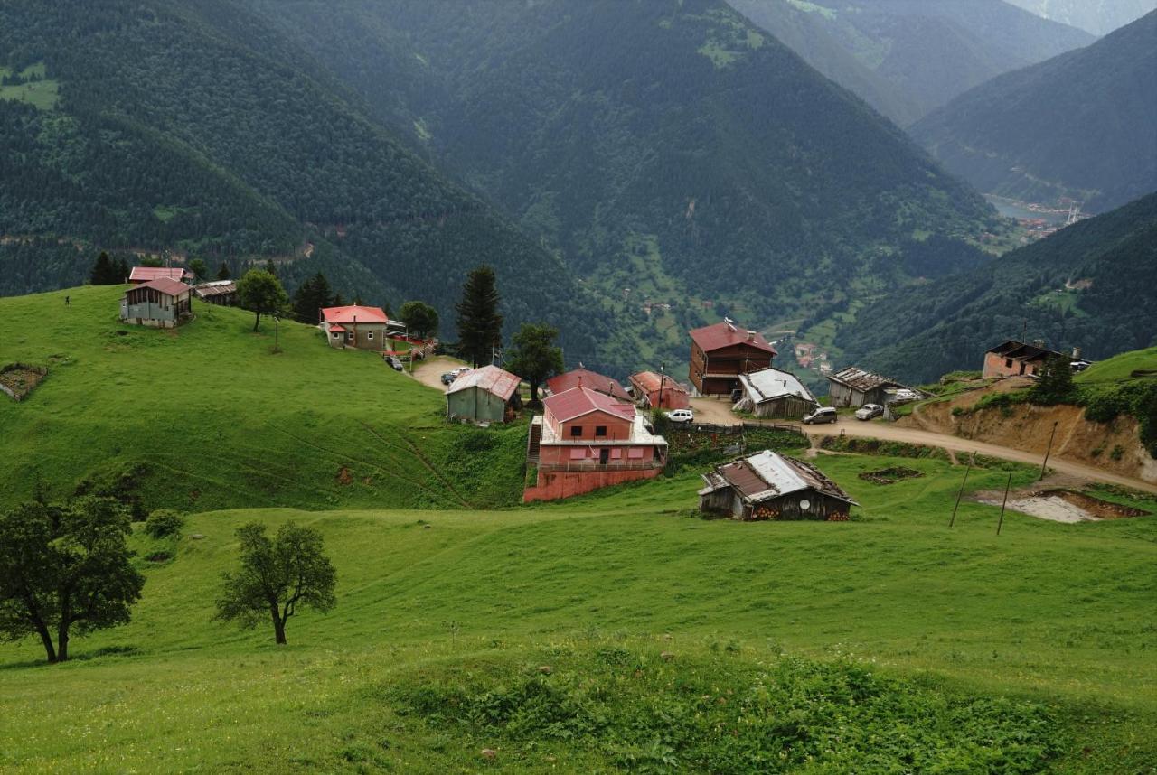 Gumul Pansiyon Uzungöl Exterior foto